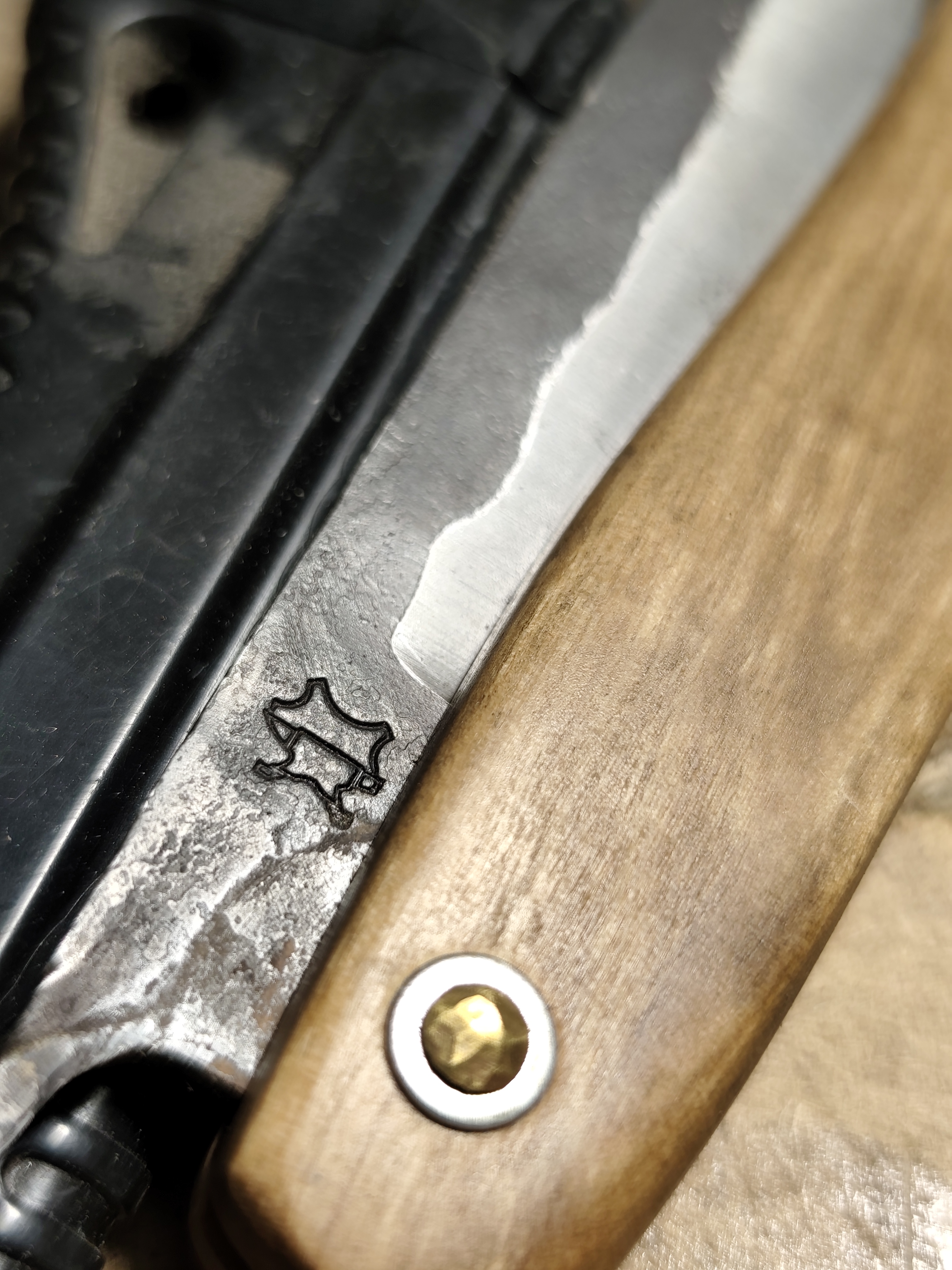 IMG_20250523_115344.jpg (2.82 MB)